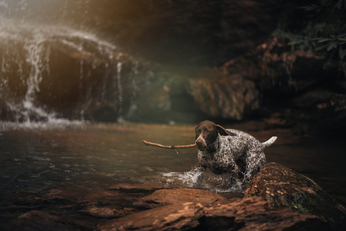 clint-mckoy-UCFdpcjYWn8-unsplash