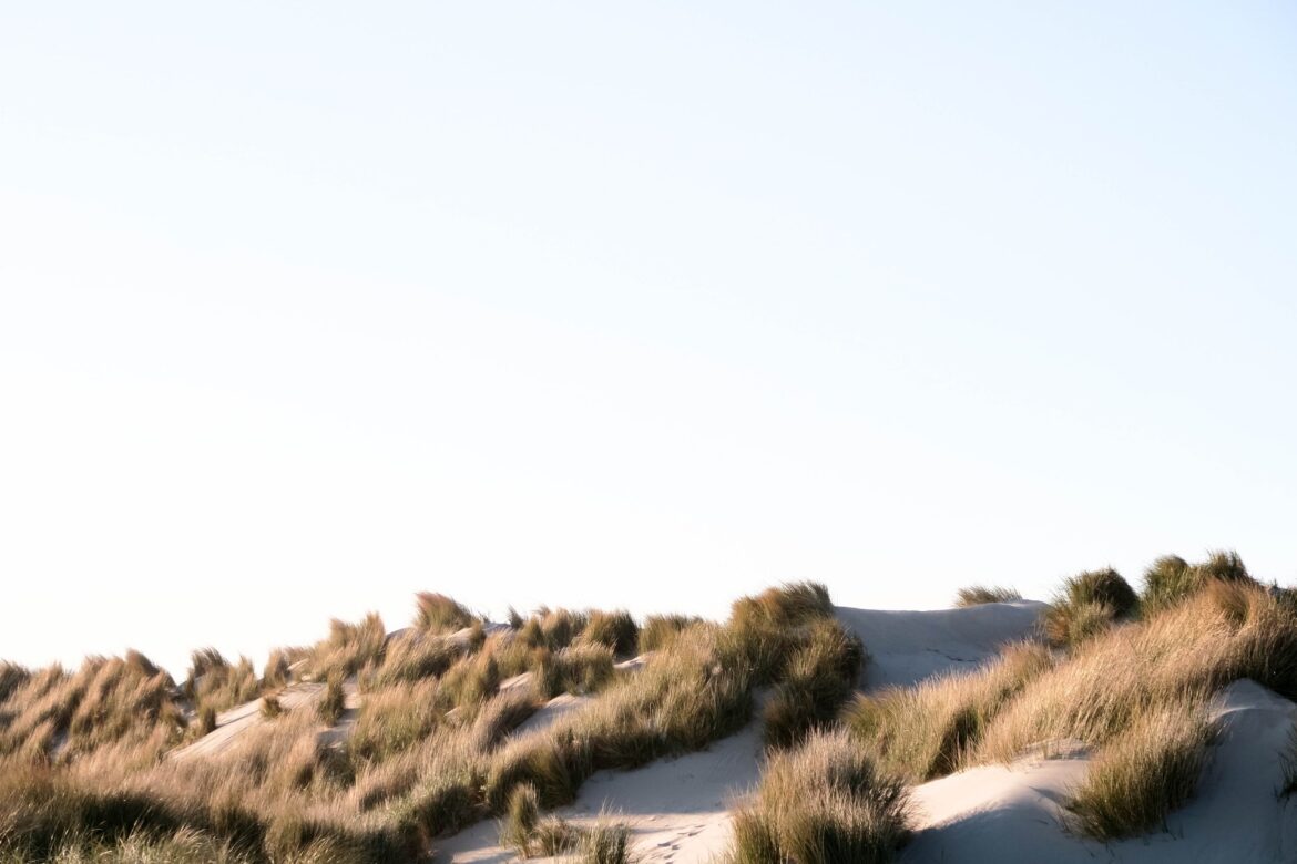 denise-jans-HPIUoXS5EPs-unsplash