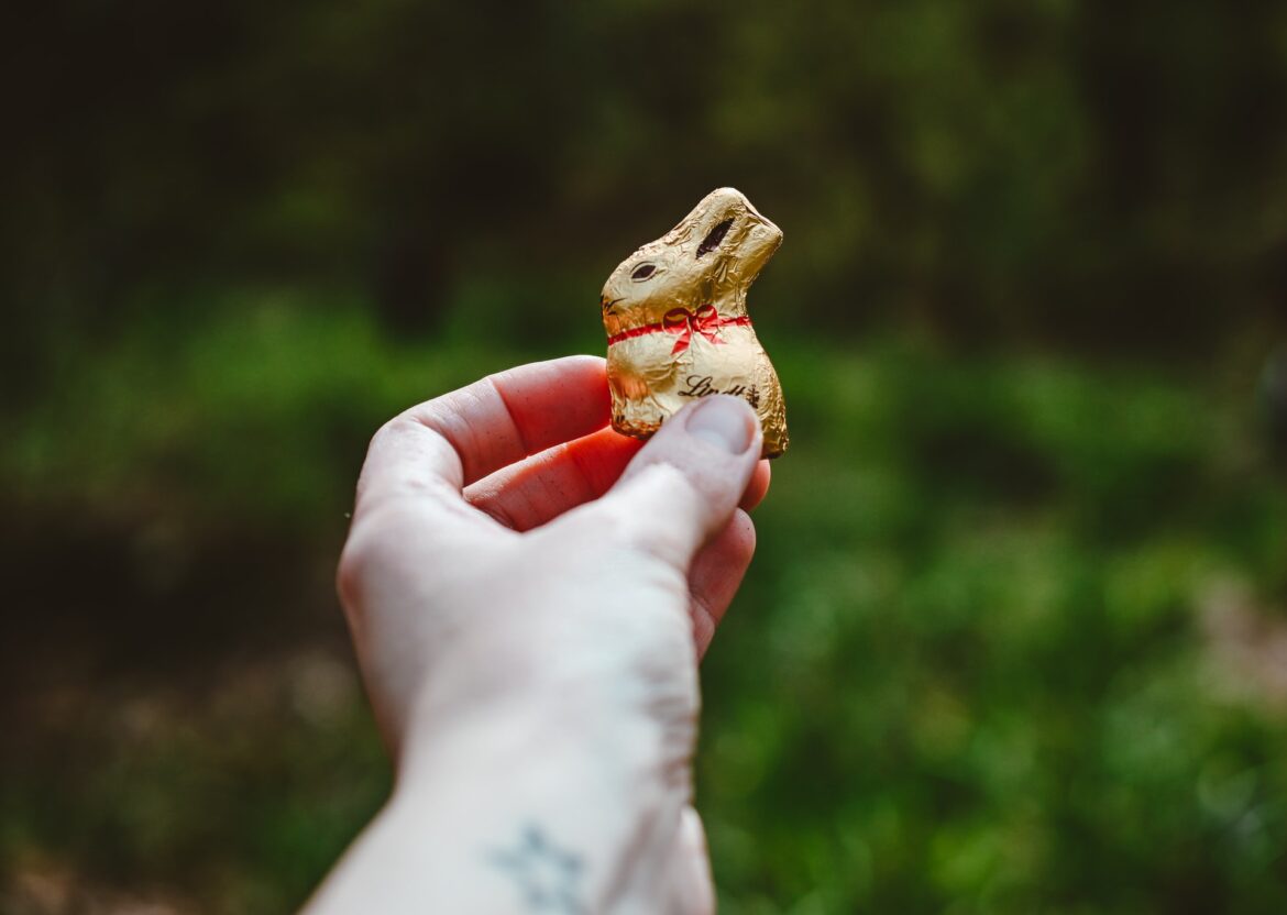 hello-i-m-nik-oFE6X_HtqV8-unsplash