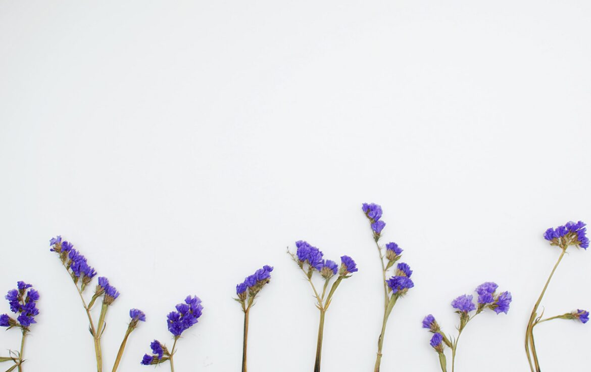 isabella-and-zsa-fischer-nBcOnMoP18g-unsplash