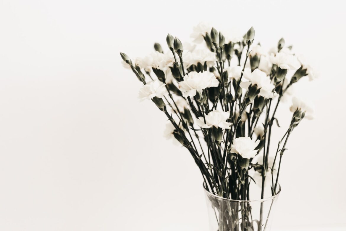 kerri-shaver-pi2osUBn9-M-unsplash