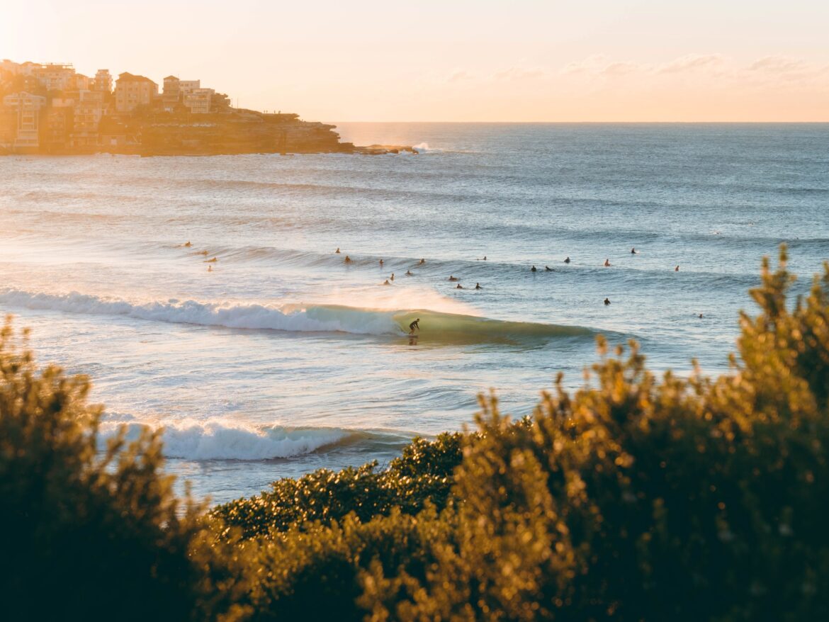matt-hardy-9TQz-EGzQMk-unsplash