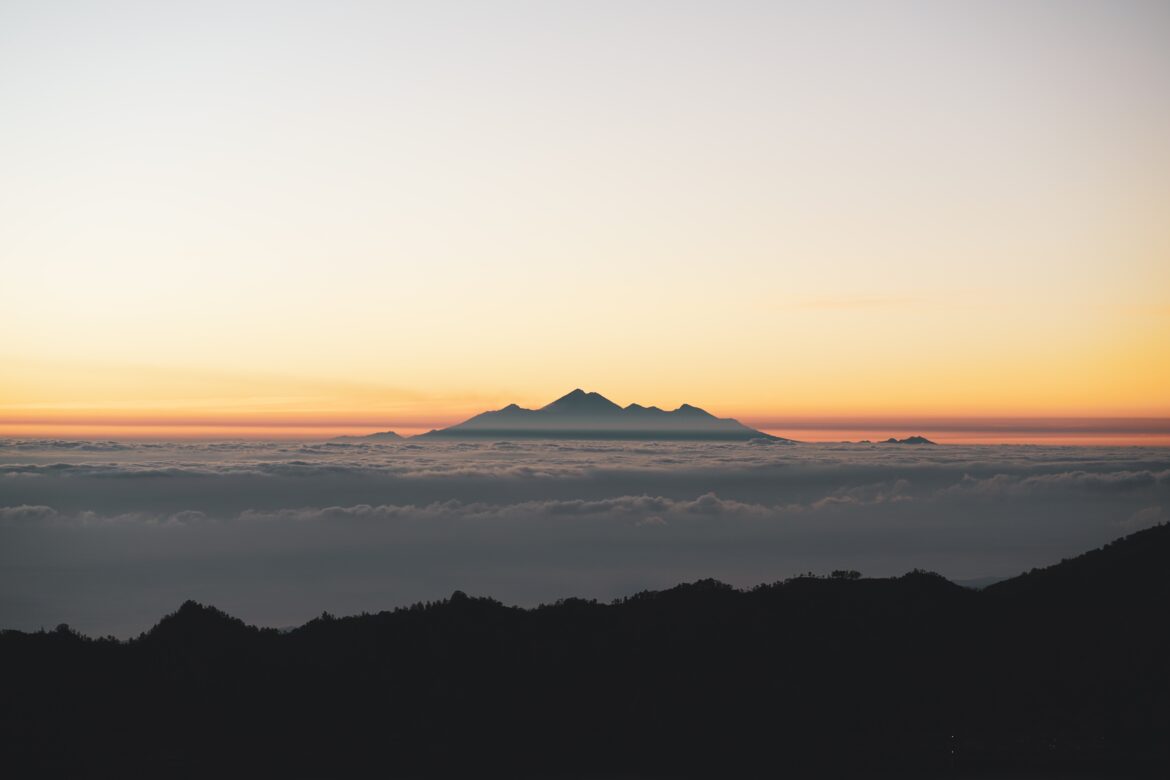 momo-71xTqxyiXzg-unsplash