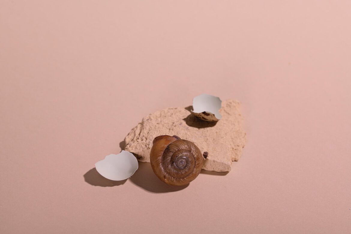 nilufar-nattaq-TWXrc_FxYvE-unsplash