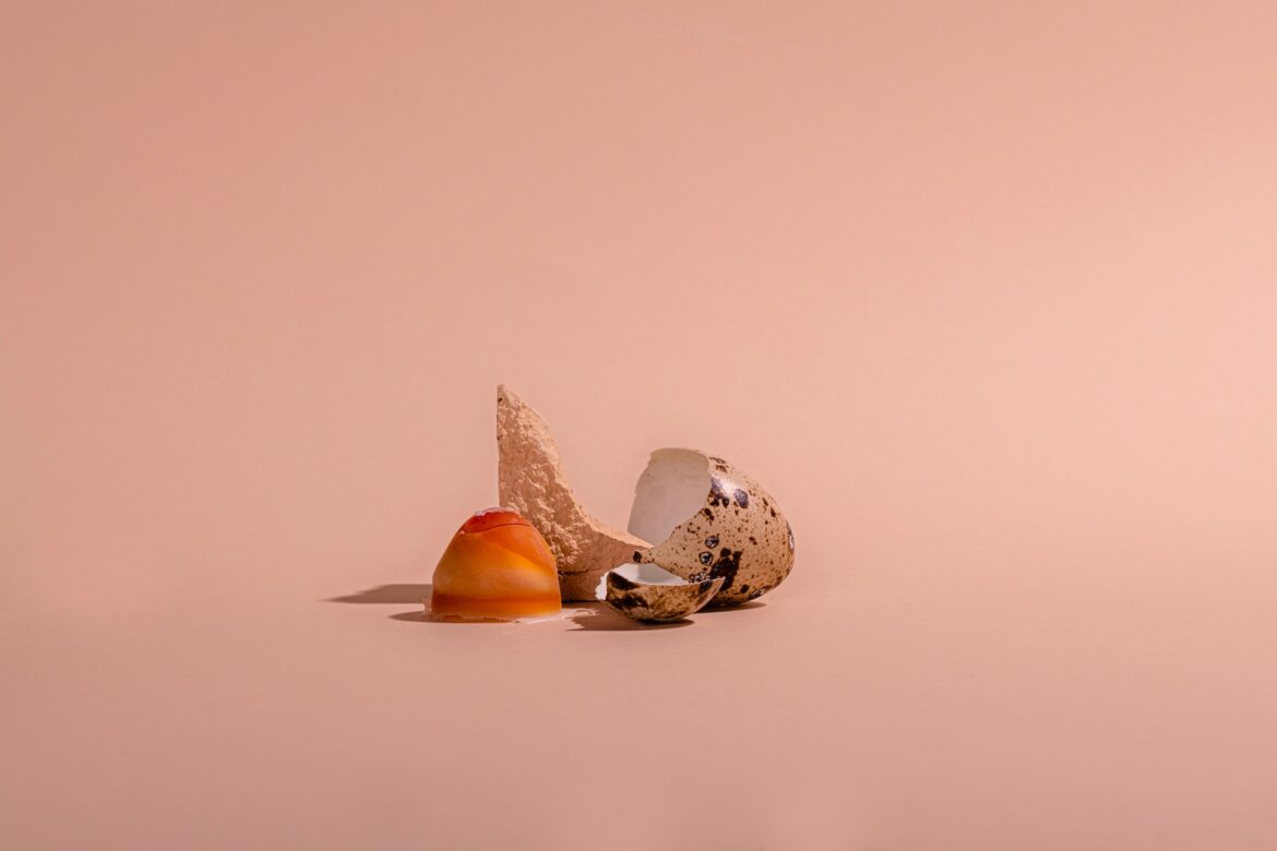 nilufar-nattaq-iMlbAA4kz5E-unsplash