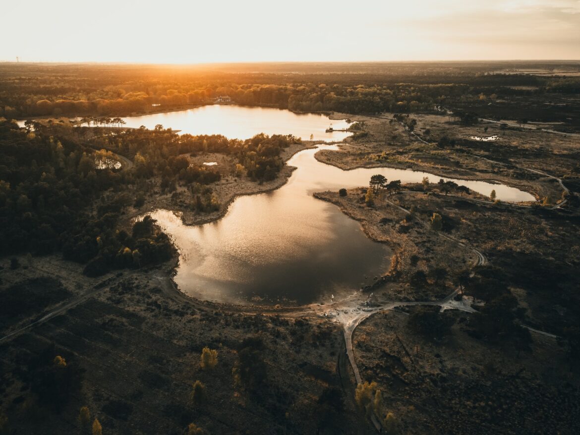 shana-van-roosbroek-iofDOrLSrmw-unsplash