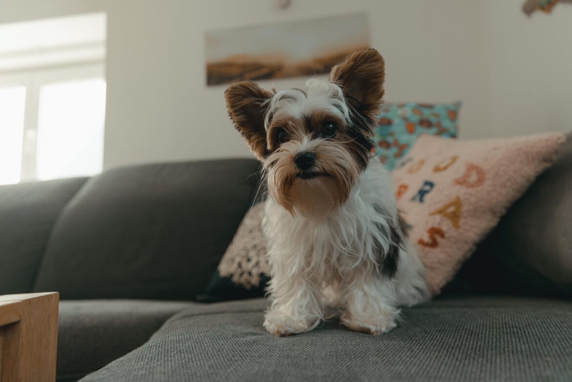 tamara-schipchinskaya-chSubwLQwTc-unsplash