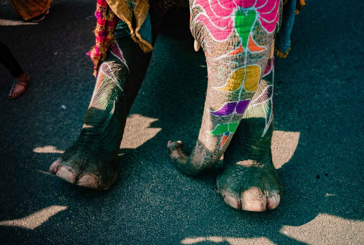 vidit-goswami-j2bNslzPa2k-unsplash