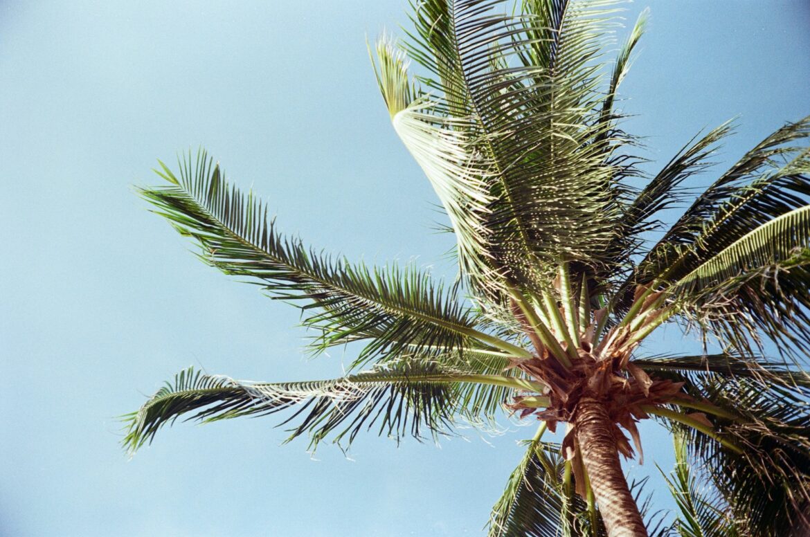xennie-moore-mogebATUUJA-unsplash