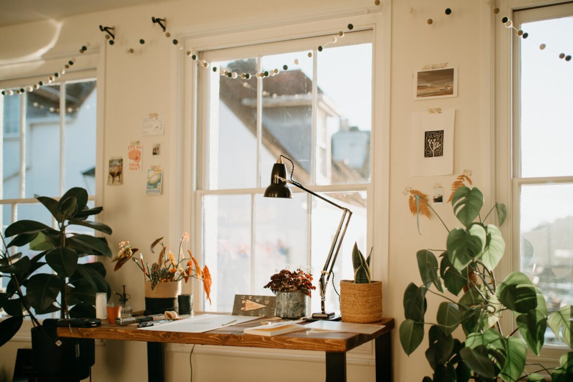 annie-spratt-gdi9fJboJQU-unsplash