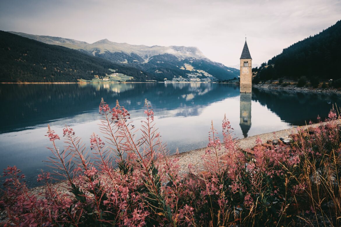 eberhard-grossgasteiger-Qe6fOKwghHo-unsplash