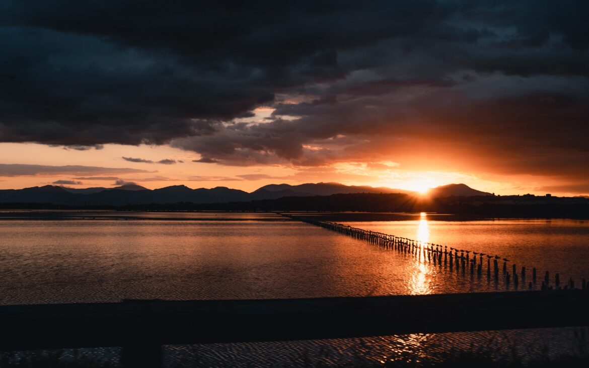 laura-spina-iWbIN1EGmG4-unsplash