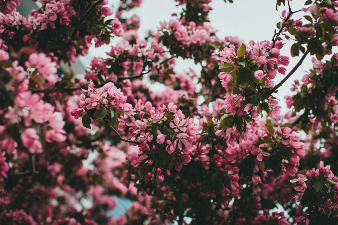 jonathan-cooper-M2ZxmE7IjhM-unsplash