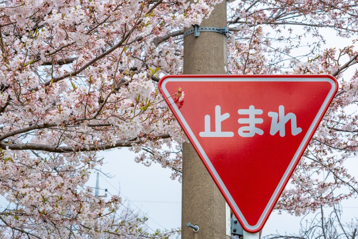 ryoma-onita-t-J5BZ1a4fY-unsplash