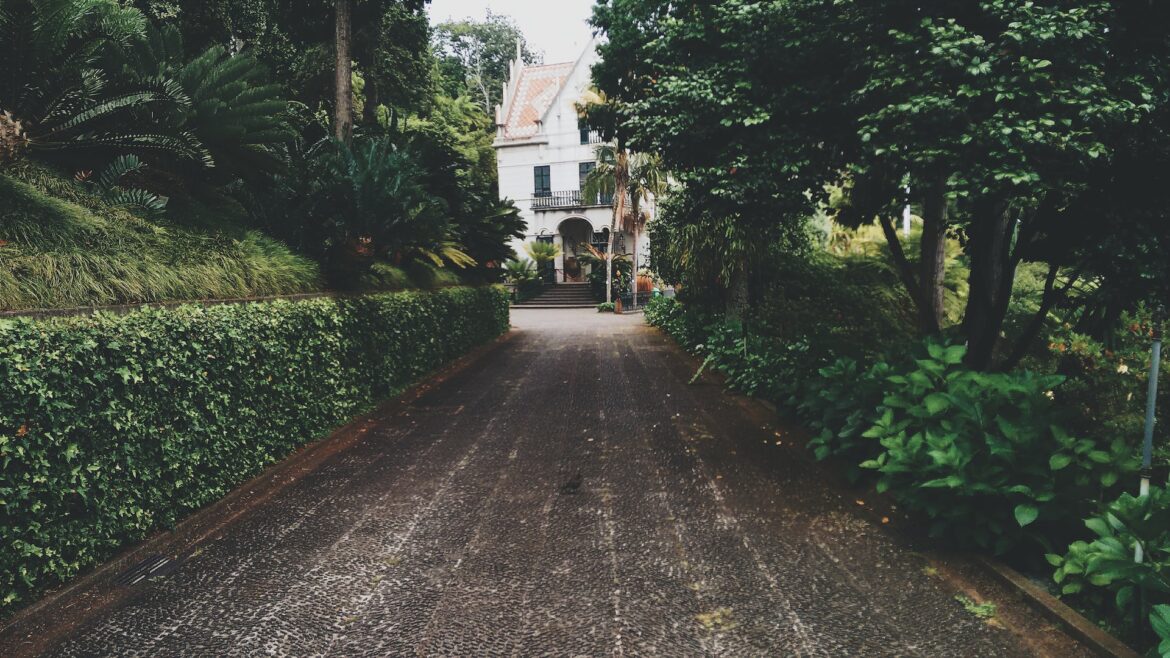 tiago-aguiar–TKXCBO1CY4-unsplash