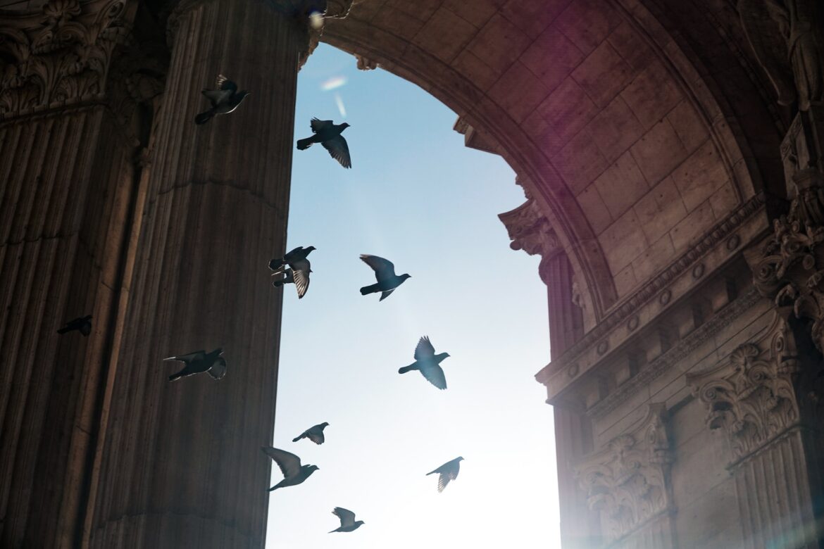 yin-yin-low-mhcKaygJOuI-unsplash