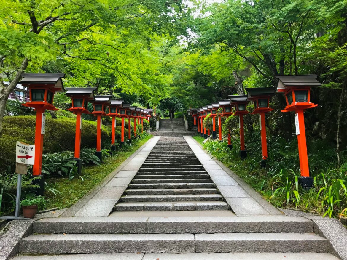 yoshie-yokouchi-1qjmaFRC9aQ-unsplash