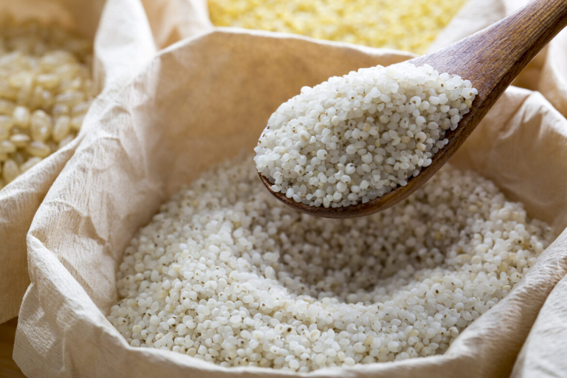 Japanese barnyard millet